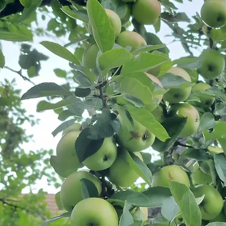 Gaestehaus Maeder - Dreiweltenkarte 3*