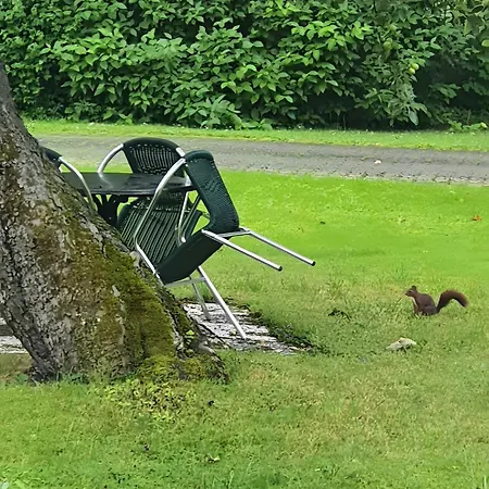 בית הארחה Gaestehaus Maeder - Dreiweltenkarte