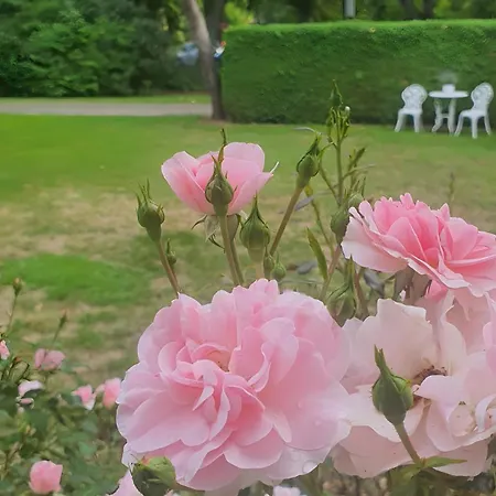 Gaestehaus Maeder - Dreiweltenkarte 3*