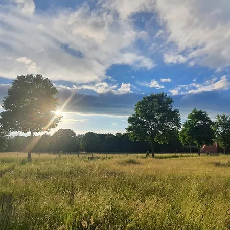 Gaestehaus Maeder - Dreiweltenkarte 3* באד דירהיים