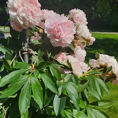 Gaestehaus Maeder - Dreiweltenkarte Vendégház