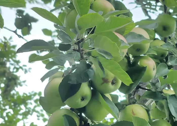 Gaestehaus Maeder - Dreiweltenkarte 3*