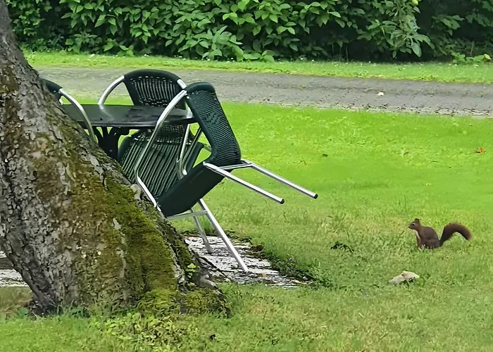 بيت ضيافة Gaestehaus Maeder - Dreiweltenkarte