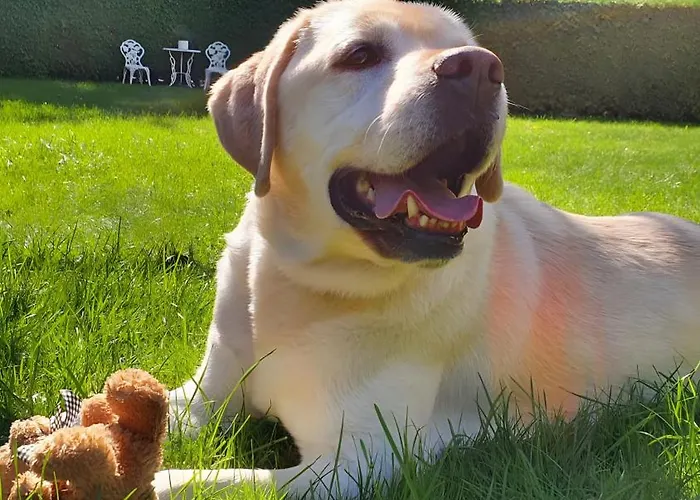 بيت ضيافة Gaestehaus Maeder - Dreiweltenkarte 3*