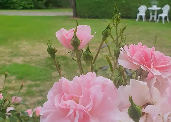 Gaestehaus Maeder - Dreiweltenkarte 3*